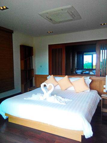 Master Room on 1st Floor/3 BR PV