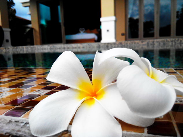 Valuable Time at Villa Tantawan Resort&Spa
