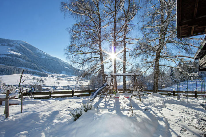 GardenWinter