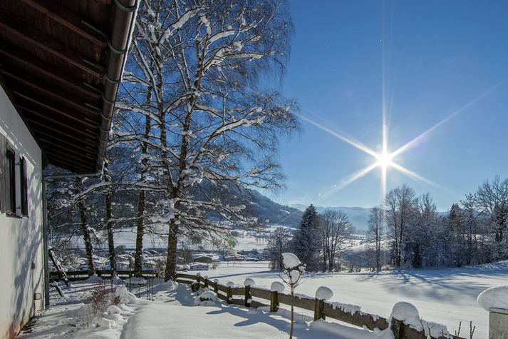 ViewWinter