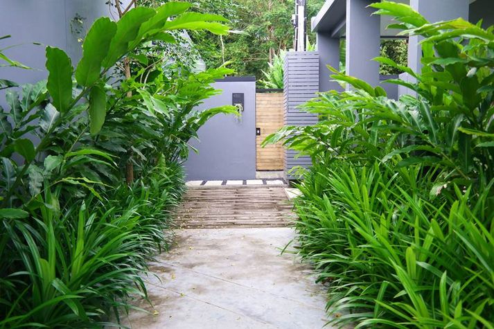 Lush garden both sides along the walkway to villa