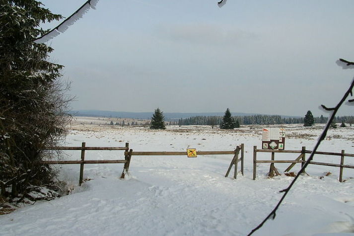 AreaWinter5KM