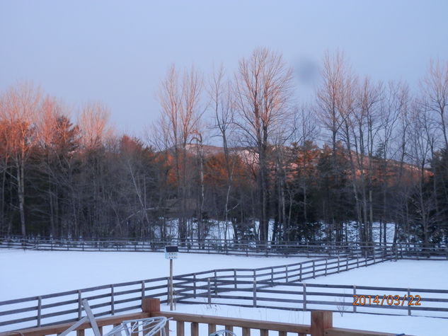 Winter Views