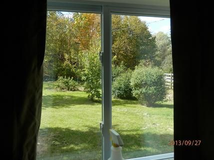 View to Bungalow Yard