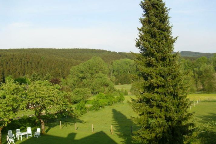 ViewSummer