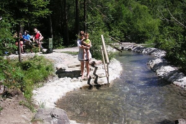 AreaSummer1KM