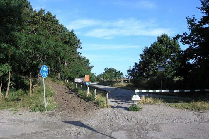 AreaSummer5KM