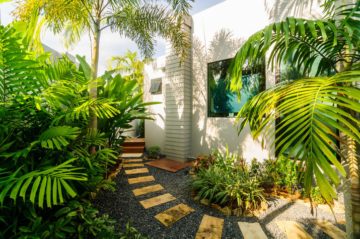 Small tropical garden surrounding the house