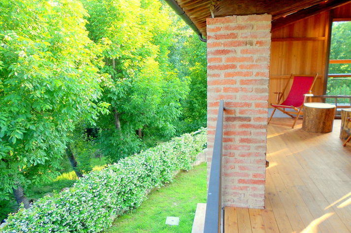 ViewSummer