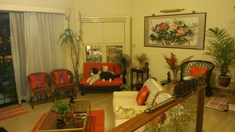 Lounge & Relaxation Area