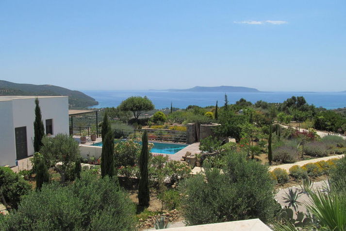 ViewSummer