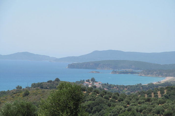 ViewSummer