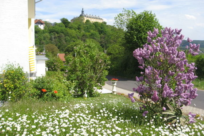GardenSummer