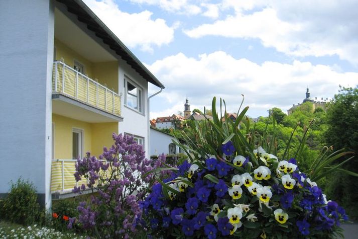 ViewSummer