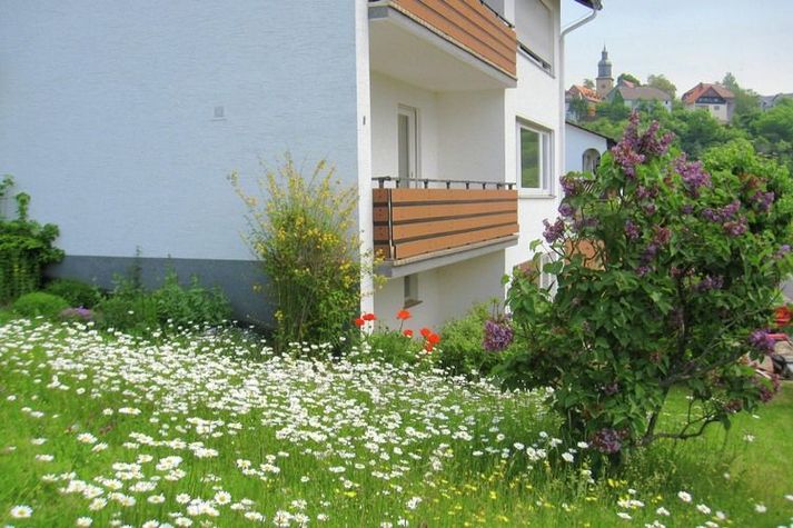 GardenSummer