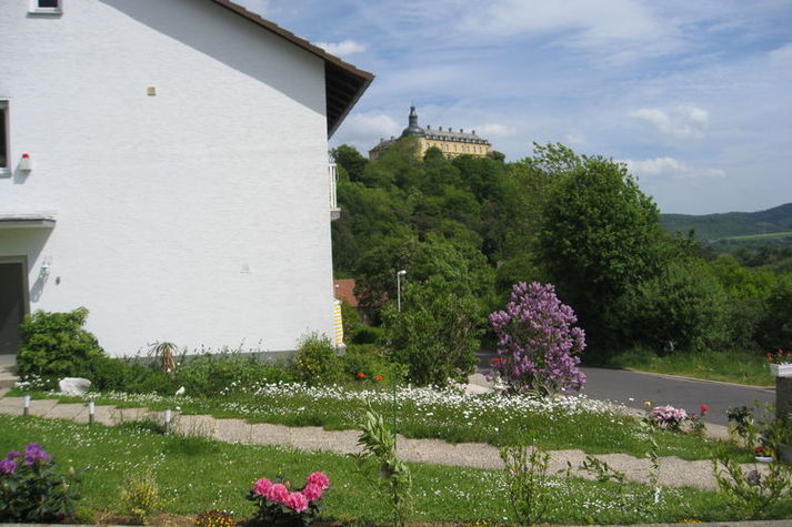ViewSummer