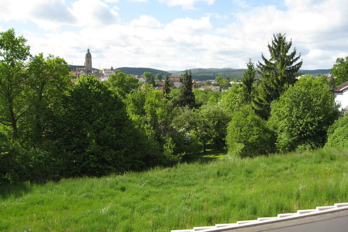 ViewSummer