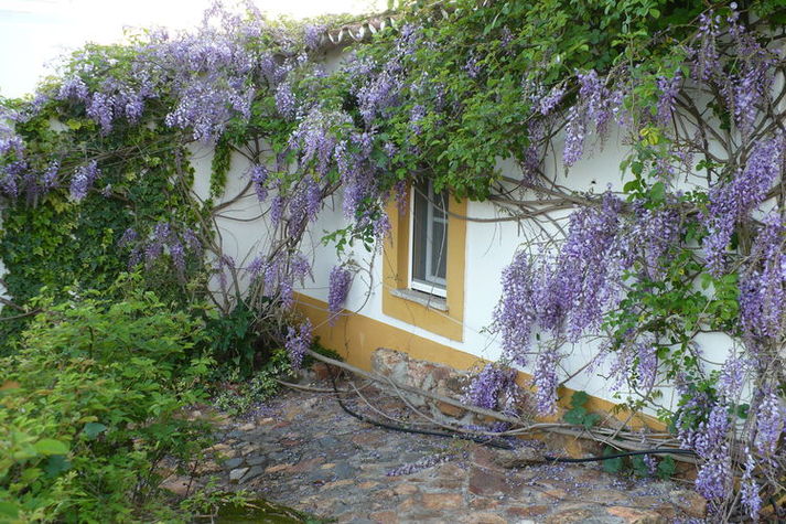ExteriorSummer