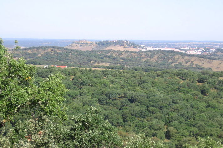 AreaWinter5KM