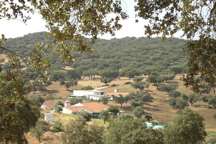 AreaWinter1KM