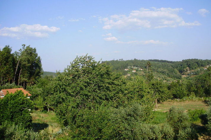 ViewSummer
