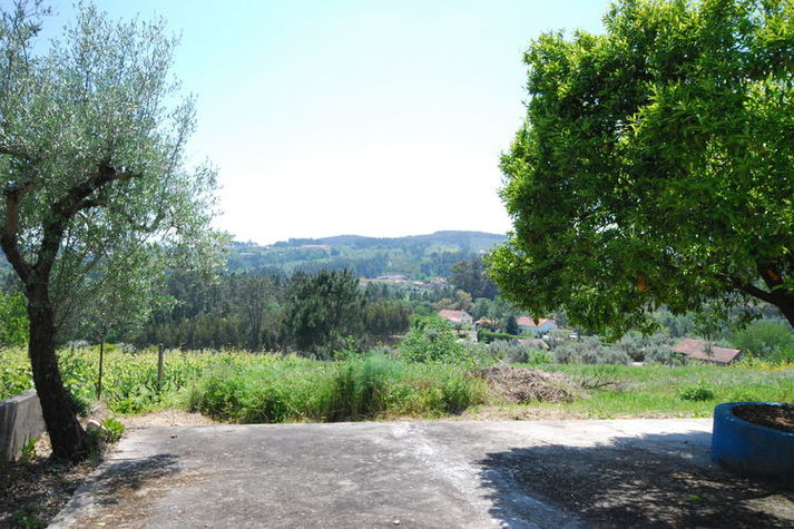 ViewSummer