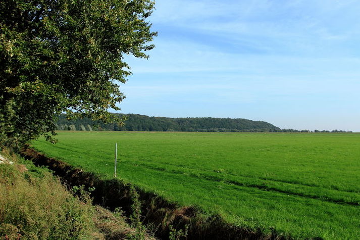 AreaSummer1KM