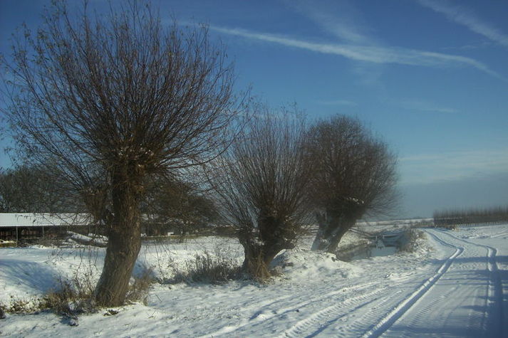 AreaWinter1KM