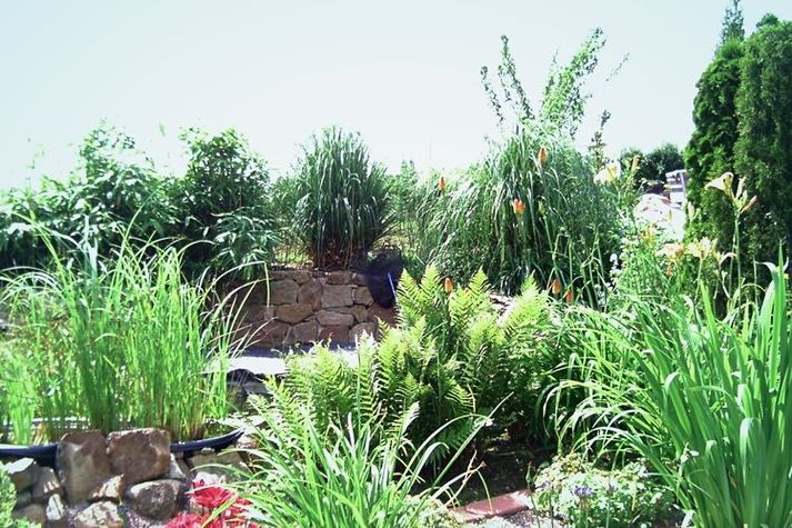 GardenSummer