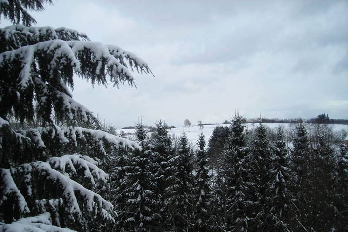 ViewWinter