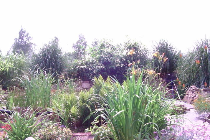 ViewSummer