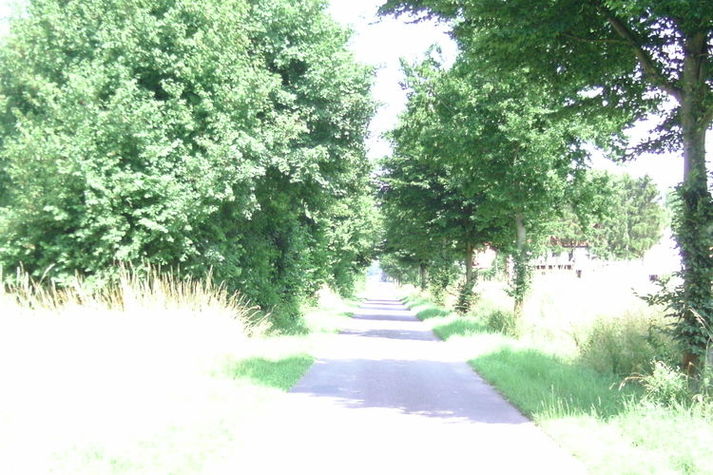 AreaSummer1KM