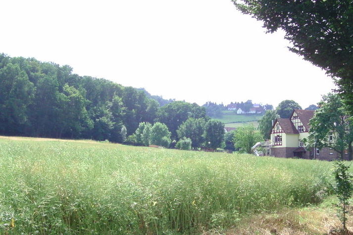AreaSummer1KM