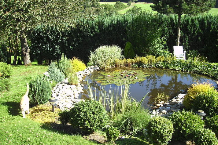 GardenSummer