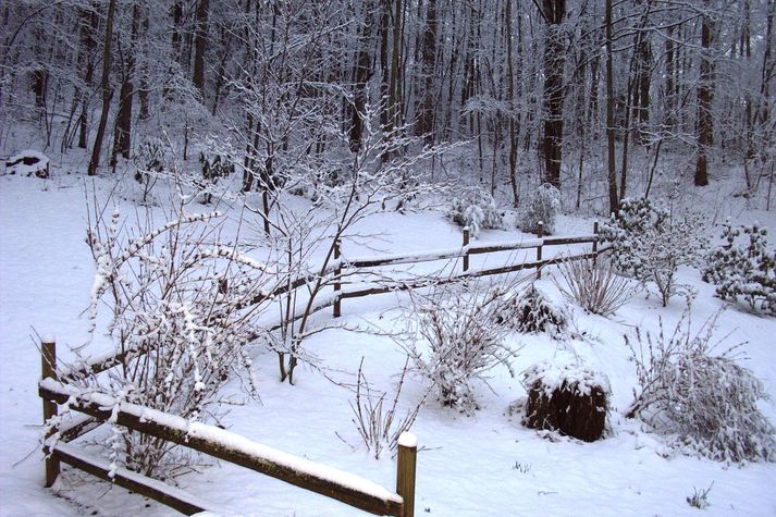 Scenery from hot tub.
