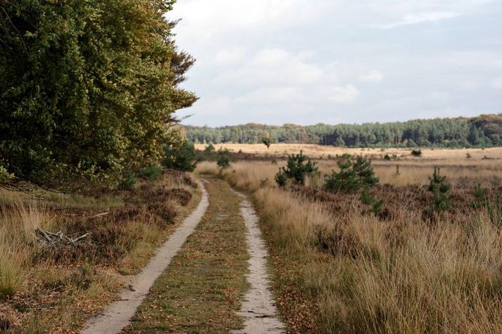 AreaSummer20KM