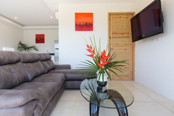 Roof top terrace - living room