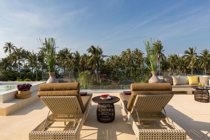 Roof top terrace - jacuzzi and loungers