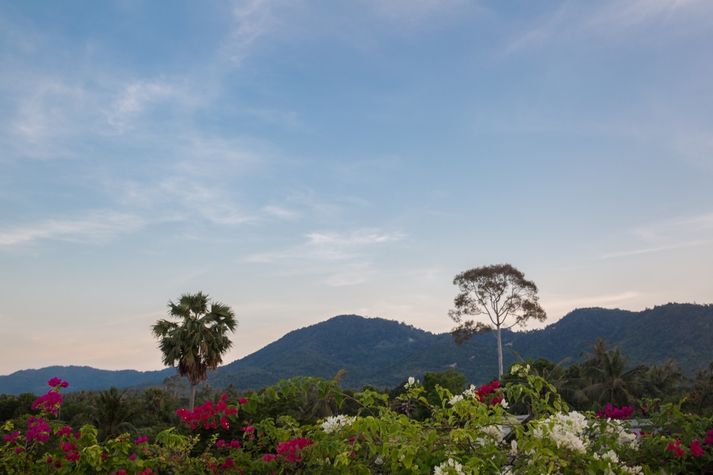 Mountain view from terrace