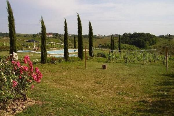 GardenSummer
