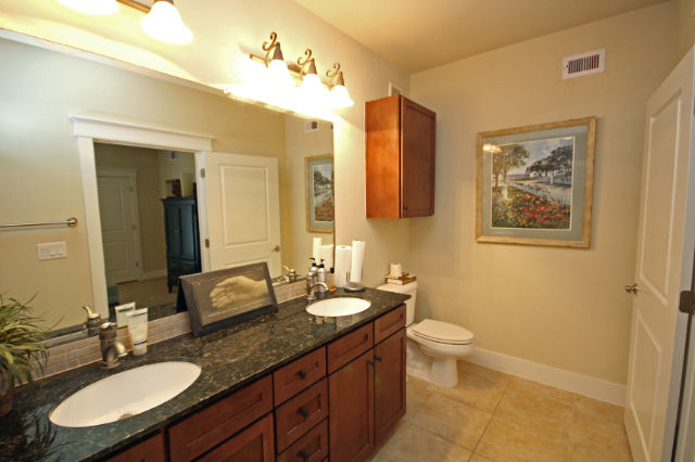 Double sinks in master bath
Double sinks in master bath