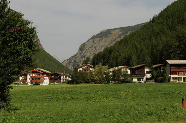 ViewSummer