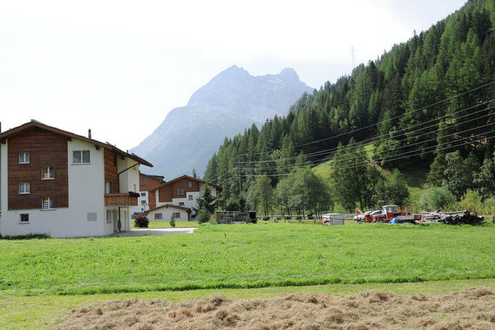 ViewSummer
