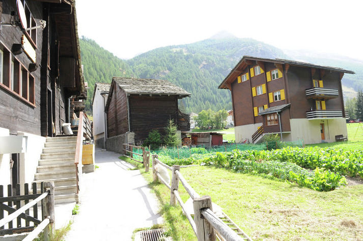ViewSummer