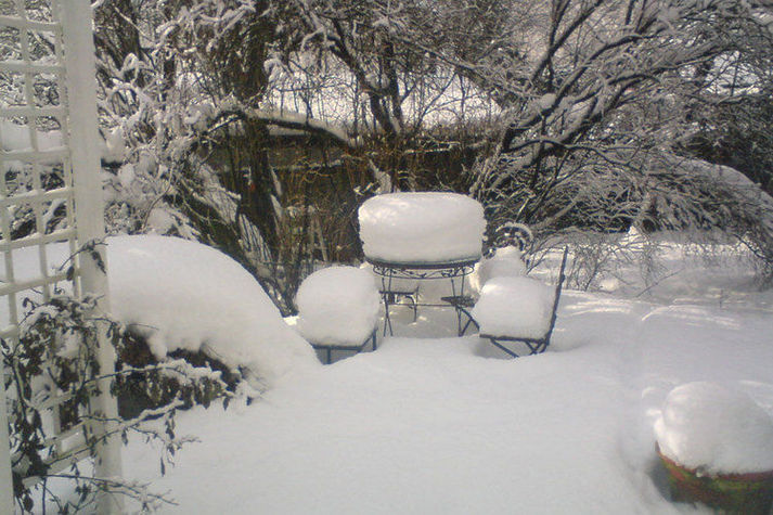 GardenWinter