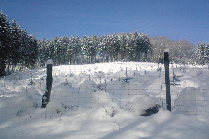 AreaWinter1KM