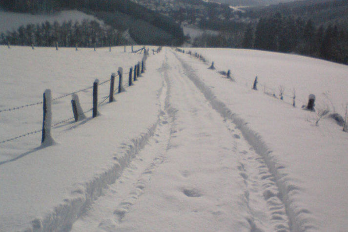 AreaWinter1KM