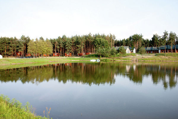 ViewSummer
