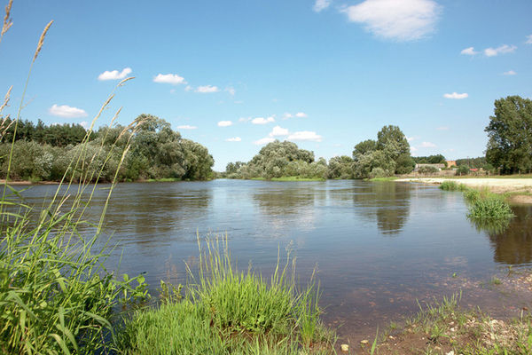 AreaSummer1KM