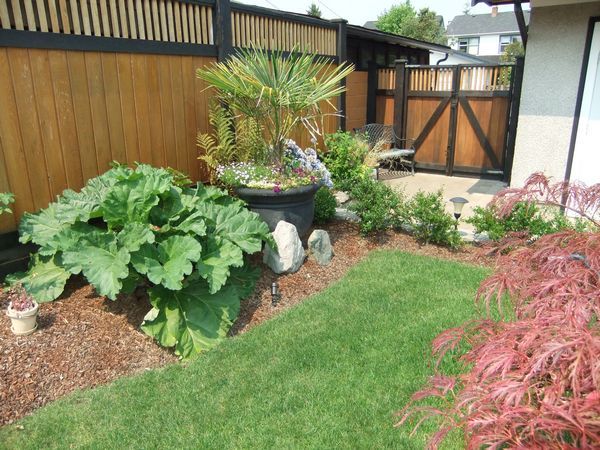 Back gate to paved laneway